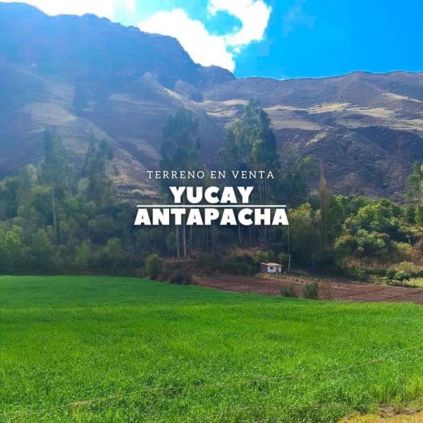 Terreno en Venta Yucay - Urubamba - Cusco 