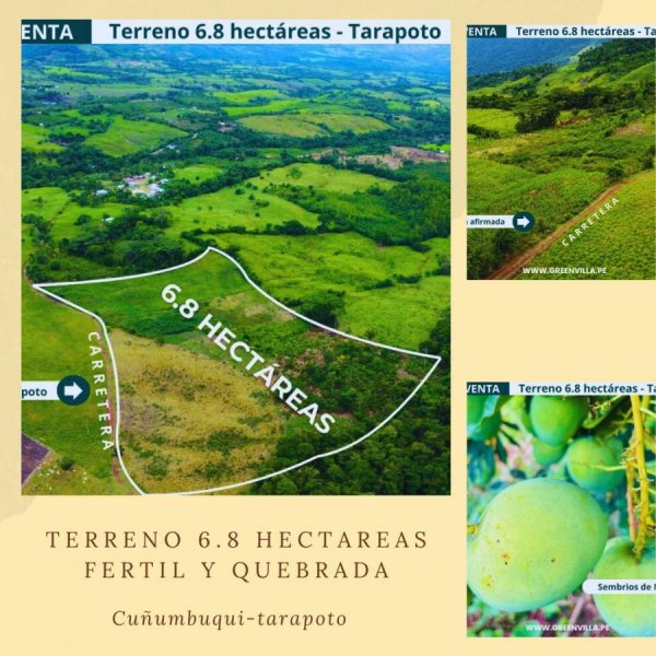 Terreno en Venta en  Tarapoto, San Martin