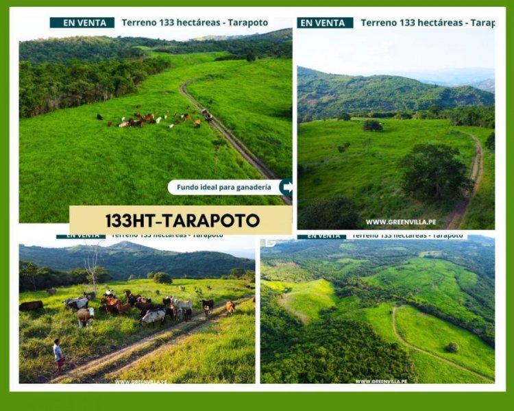 Terreno en Venta en Tarapoto Tarapoto, San Martin