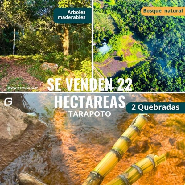 Terreno en Venta en  Tarapoto, San Martin