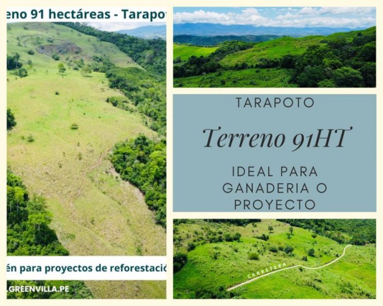 Terreno en Venta en  Tarapoto, San Martin
