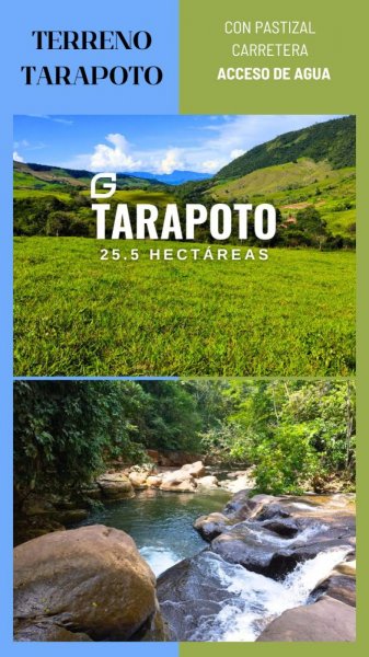 Foto Terreno en Venta en Tarapoto, Tarapoto, San Martin - S/. 230.000 - TEV38537 - BienesOnLine