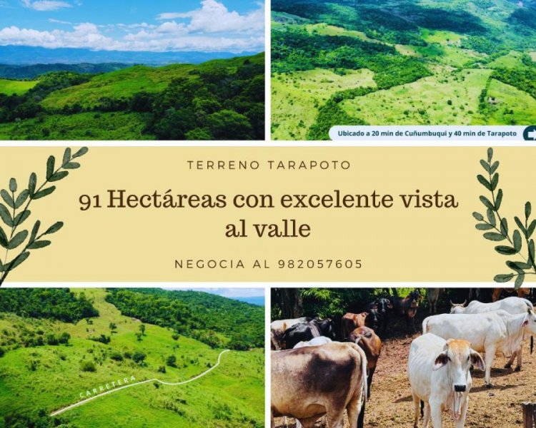 Terreno en Venta en  Tarapoto, San Martin