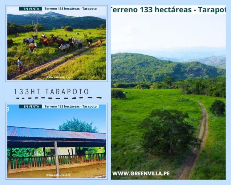 Terreno en Venta en  Tarapoto, San Martin