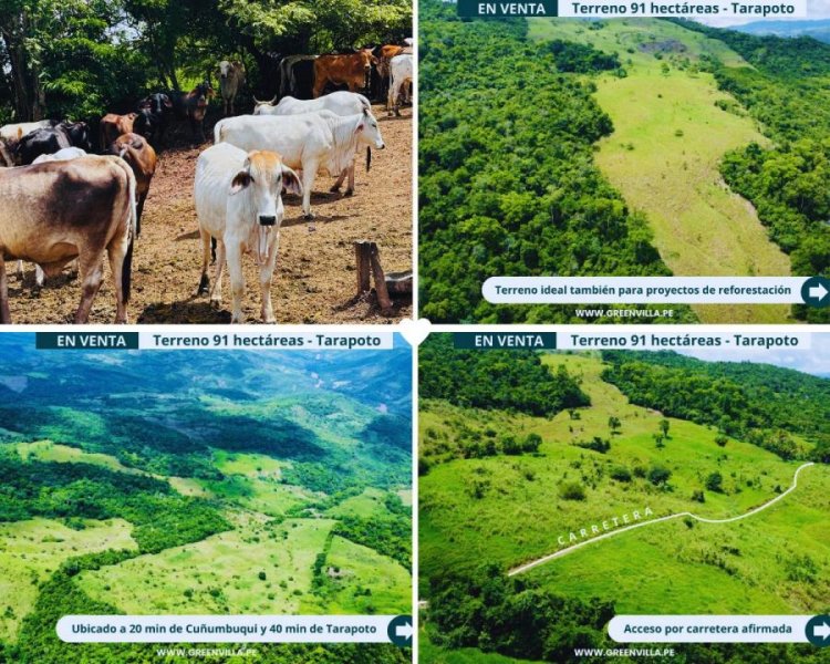 Terreno en Venta en  Tarapoto, San Martin