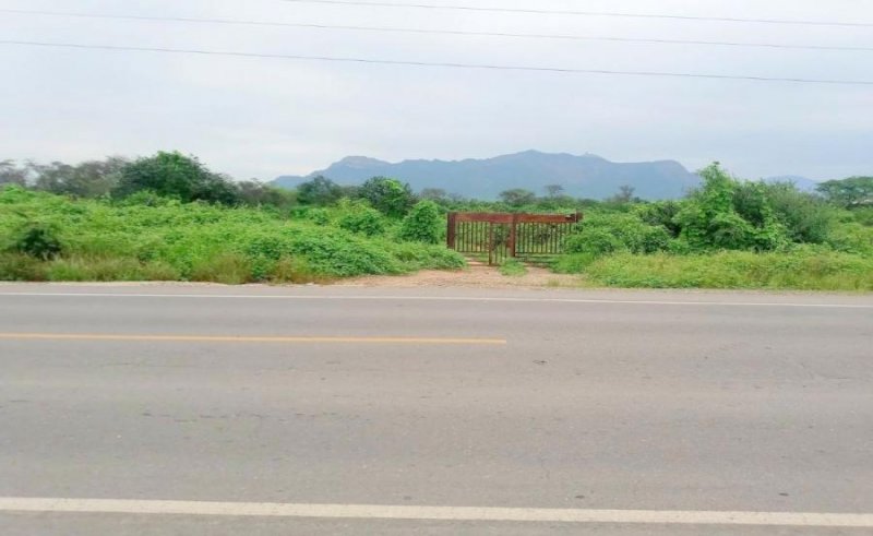 Agricola en Venta en Motute Motupe, Lambayeque