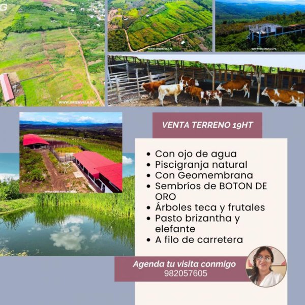 Foto Terreno en Venta en Tarapoto, San Martin - S/. 550.000 - TEV39432 - BienesOnLine