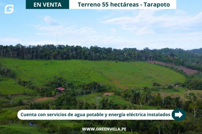 Foto Terreno en Venta en Tarapoto, San Martin - S/. 1.600.000 - TEV40567 - BienesOnLine