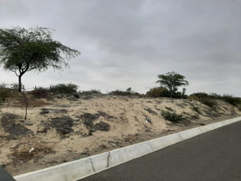 Terreno Vía de Evitamiento Este Castilla Piura