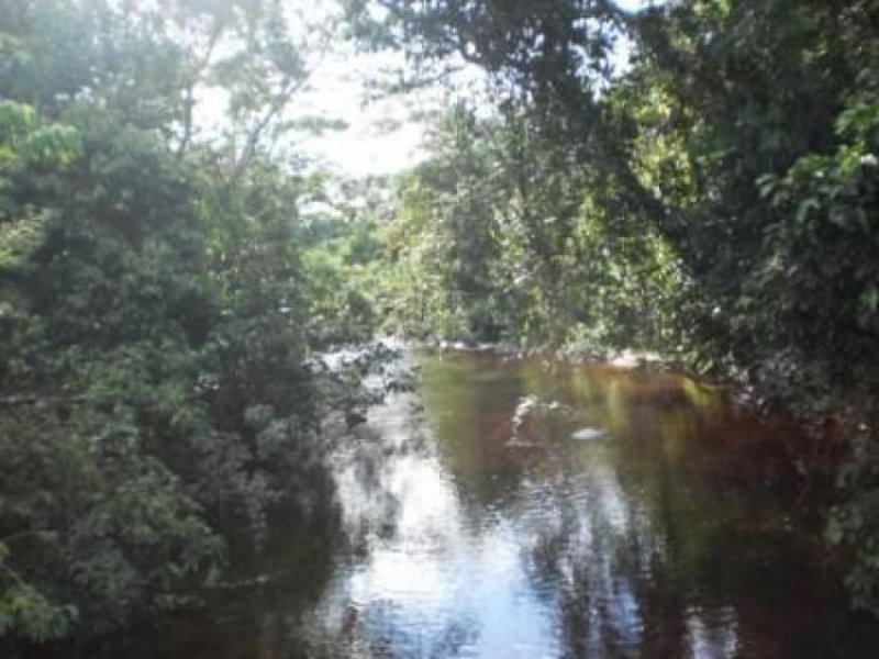 Terreno en Venta en CODO DE POZIZO Codo Del Pozuzo, Puerto Inca