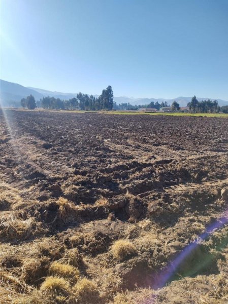Agricola en Venta en  Matahuasi, Concepcion