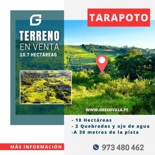 Vendo 10 hectáreas en Tarapoto 