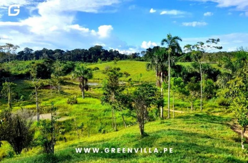 18 Hectáreas en Yurimaguas - Tarapoto