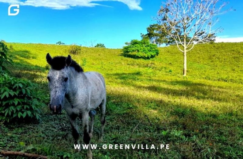 Terreno en Venta en  Tarapoto, San Martin