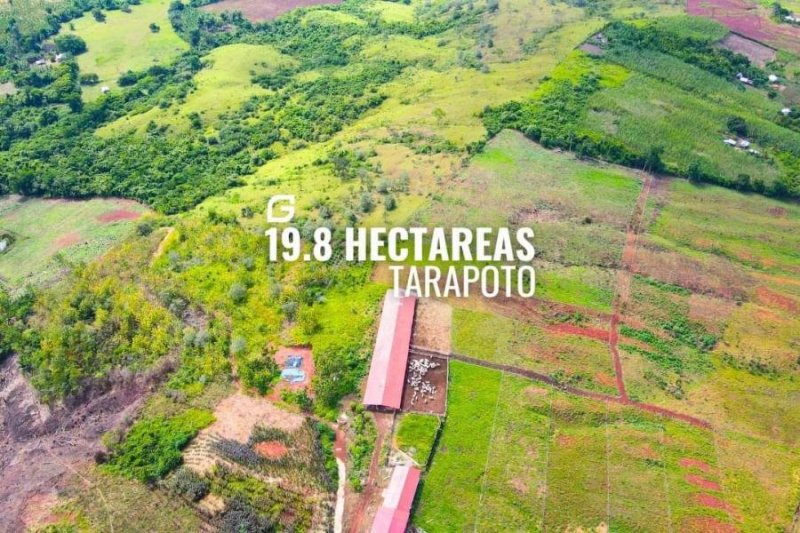 Terreno en Venta en  Tarapoto, San Martin