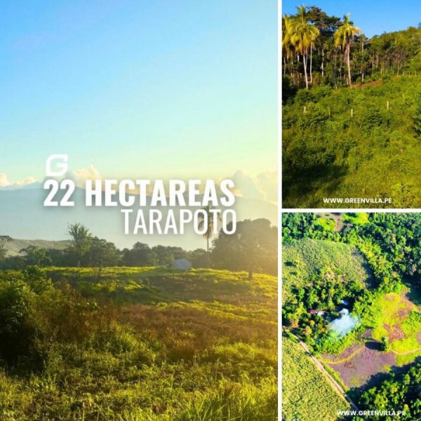 Terreno en Venta en  Tarapoto, San Martin