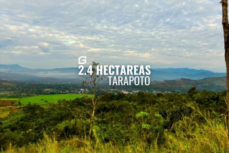 Terreno en Venta en  Tarapoto, San Martin
