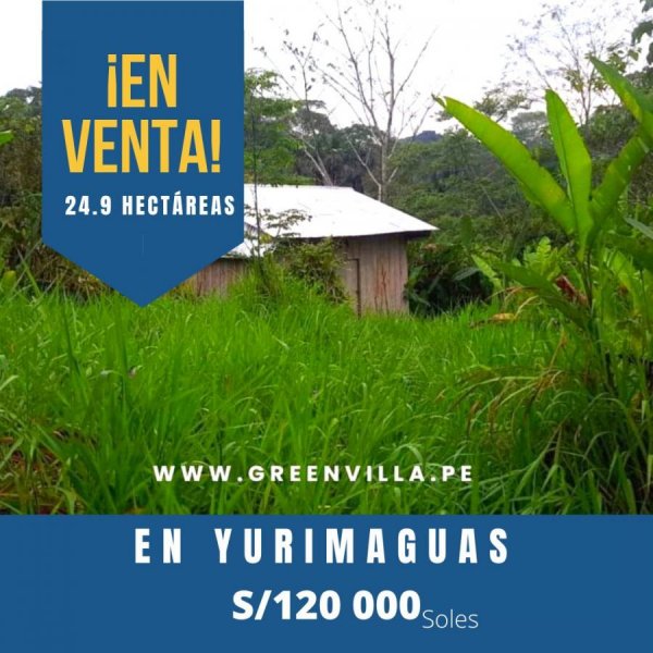 Terreno en Venta en  Tarapoto, San Martin
