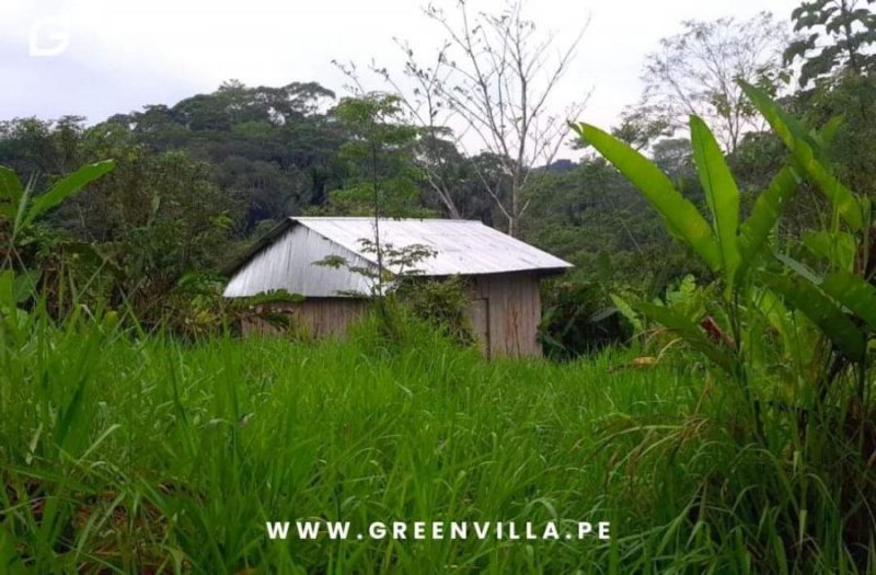 Terreno en Venta en  Tarapoto, San Martin