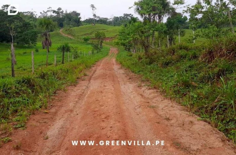 Terreno en Venta en  Tarapoto, San Martin