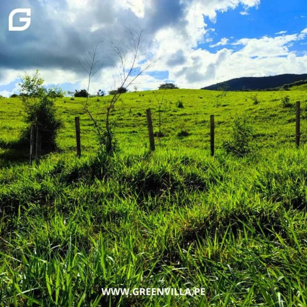 Terreno en Venta en  Tarapoto, San Martin