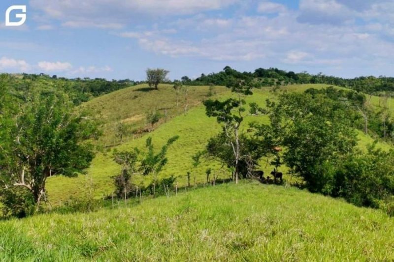 Terreno en Venta en  El Carmen, Chincha
