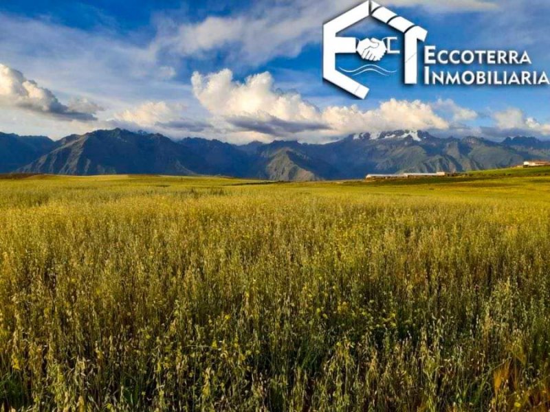 Foto Terreno en Venta en Cusco, Cusco - U$D 29 - TEV38033 - BienesOnLine