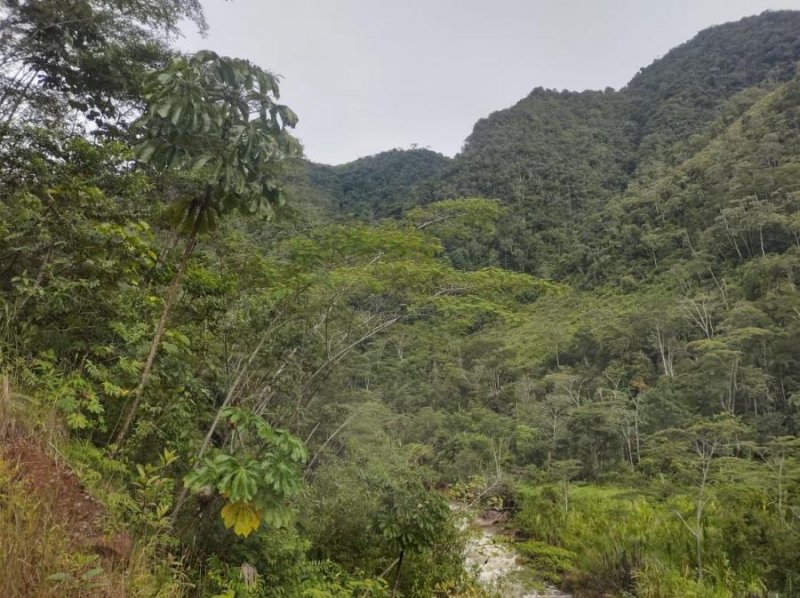 Agricola en Venta en  Vitoc, Chanchamayo