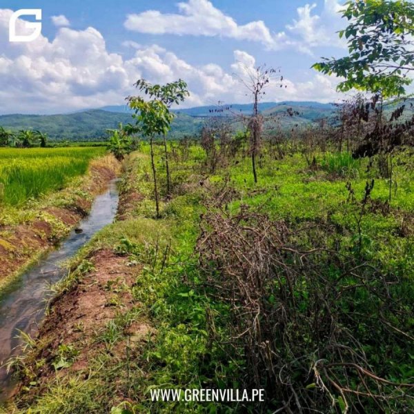 Terreno en Venta en  Tarapoto, San Martin