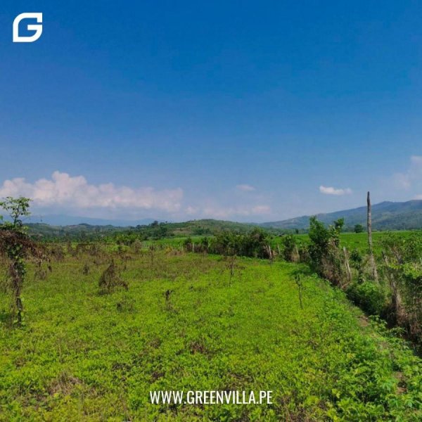 VENDO 4543 M2 EN TARAPOTO