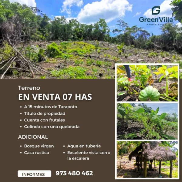 Terreno en Venta en  Tarapoto, San Martin