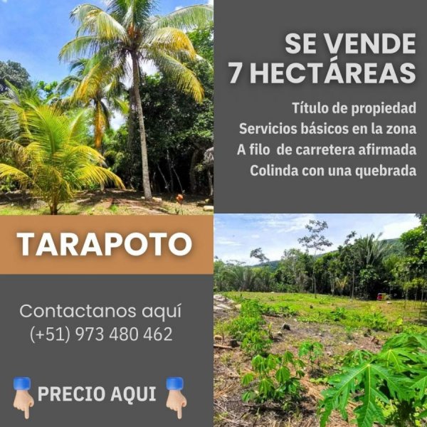 Terreno en Venta en  Tarapoto, San Martin