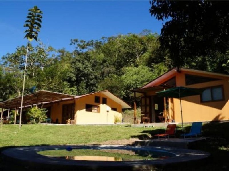 Vendo Finca de 14.1 ha en la Merced - Chanchamayo - Terreno en venta en La Merced