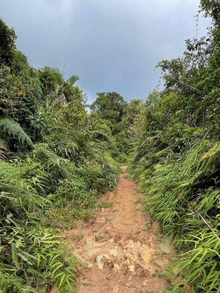 Agricola en Venta en  Puerto Bermudez, Oxapampa