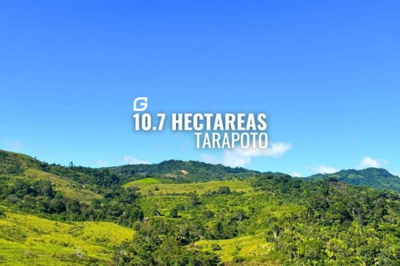 Terreno en Venta en  Tarapoto, San Martin