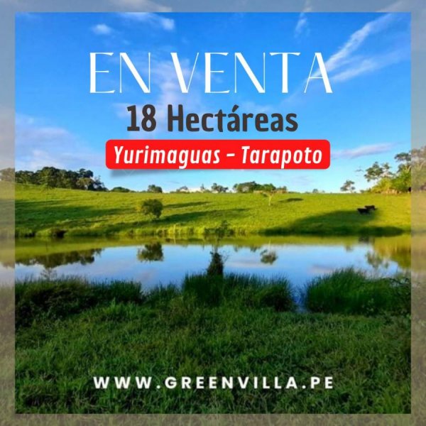 18 Hectáreas En Tarapoto - Yurimaguas