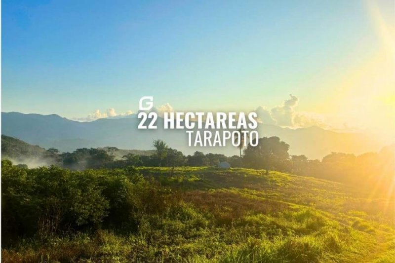 Terreno en Venta en  Tarapoto, San Martin