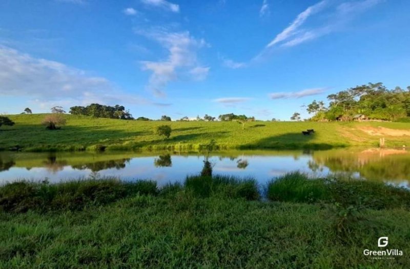 18 HECTÁREAS EN YURIMAGUAS - TARAPOTO (Terreno Agricola)