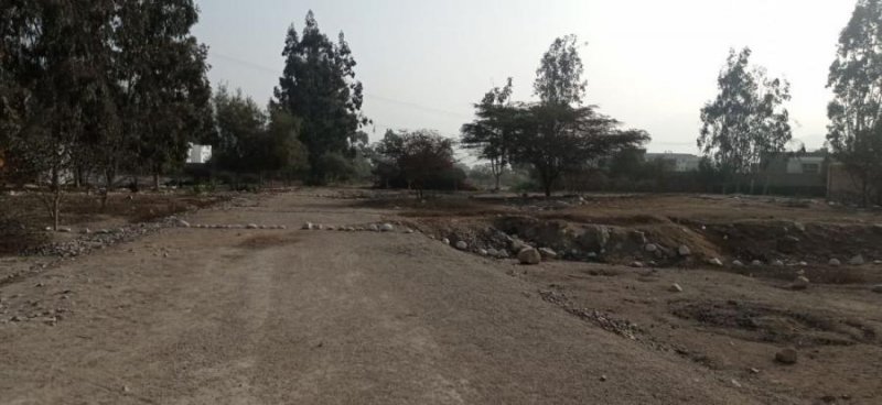 Terreno en Venta en pachacamac av los tulipanes, Lima
