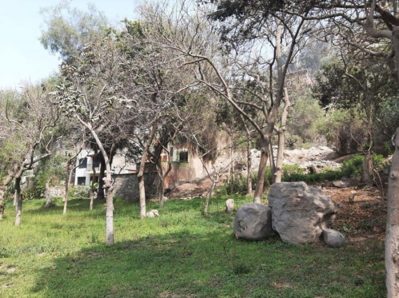 VENDO TERRENO EN CHACLACAYO 200 M2, URB. LOS GIRASOLES DE HUAMPANÍ NAB-10