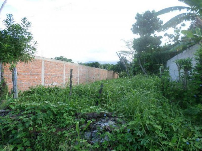 Foto Terreno en Venta en Tarapoto, San Martin - S/. 80.000 - TEV16986 - BienesOnLine