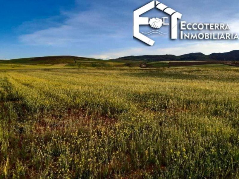 Foto Terreno en Venta en Cusco, Cusco - U$D 29 - TEV37592 - BienesOnLine