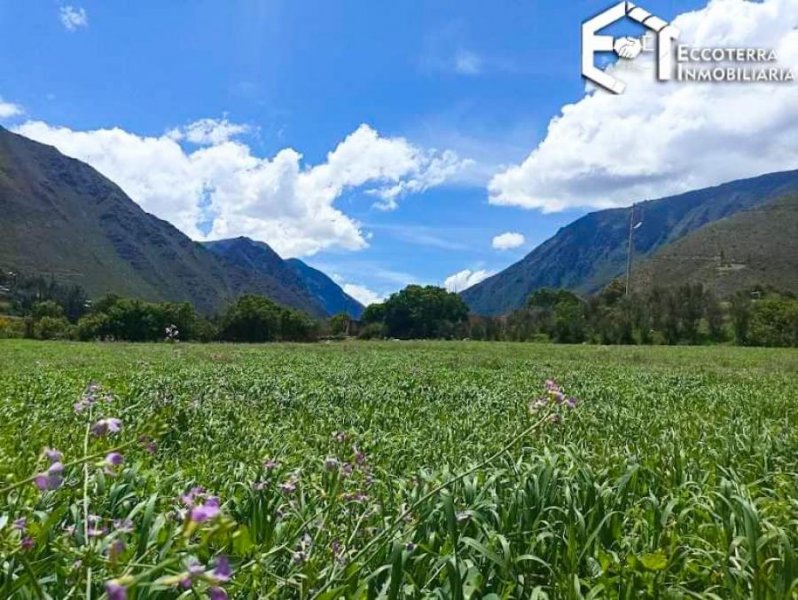 Foto Terreno en Venta en Ollantaytambo, Urubamba - U$D 59 - TEV36926 - BienesOnLine