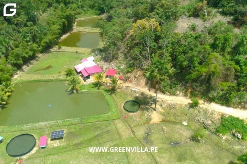 Terreno en Venta en  Sauce, San Martin