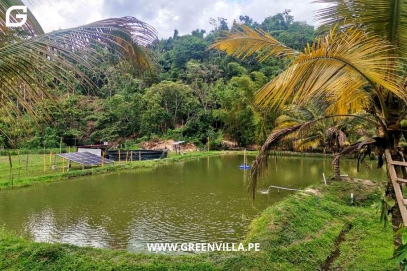 Terreno en Venta en  Tarapoto, San Martin