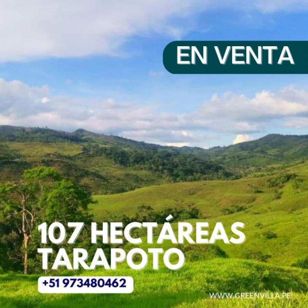 Terreno en Venta en  Tarapoto, San Martin