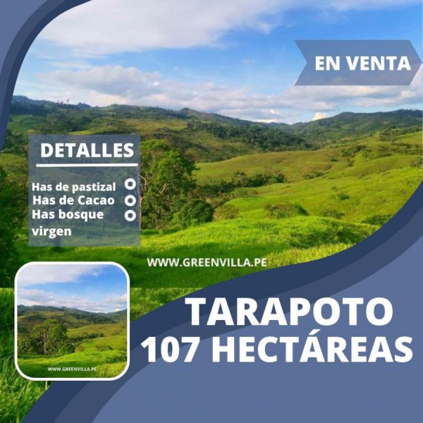 Terreno en Venta en  Tarapoto, San Martin