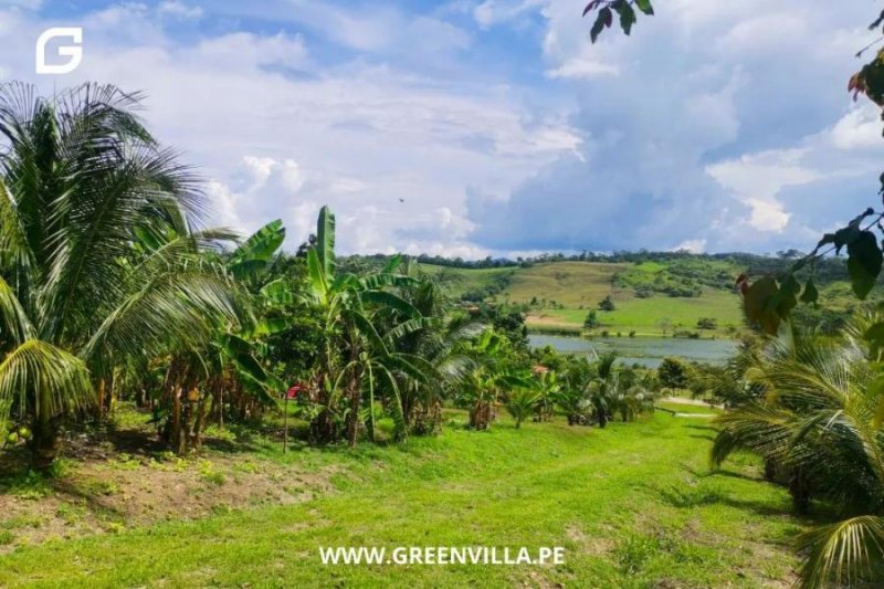 Terreno en Venta en  Tarapoto, San Martin