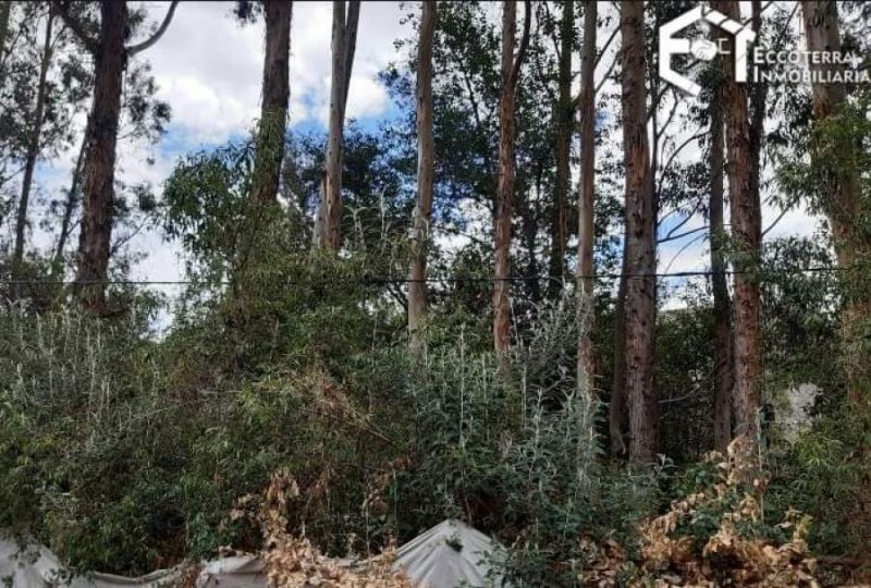 Foto Terreno en Venta en Urubamba, Urubamba - U$D 27.000 - TEV36544 - BienesOnLine