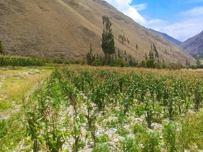 Vendo Terreno Ollantaytambo, Cusco 